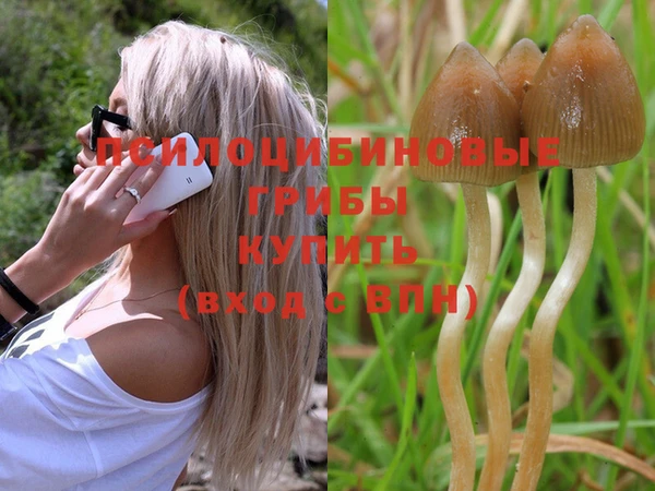кокаин колумбия Белокуриха