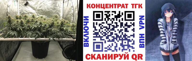 Дистиллят ТГК концентрат Маркс